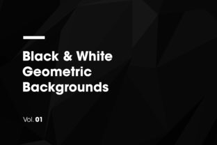 Black & White | Geometric Backgrounds: 24 Designs for Modern Projects
